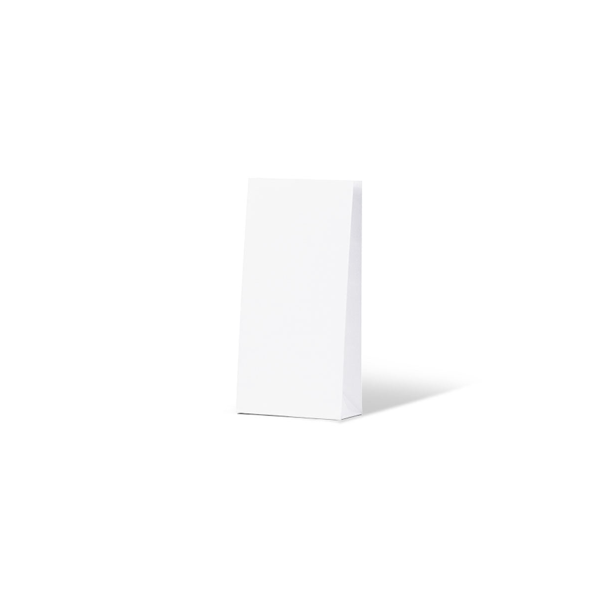 White Coloured Gift Paper Bag