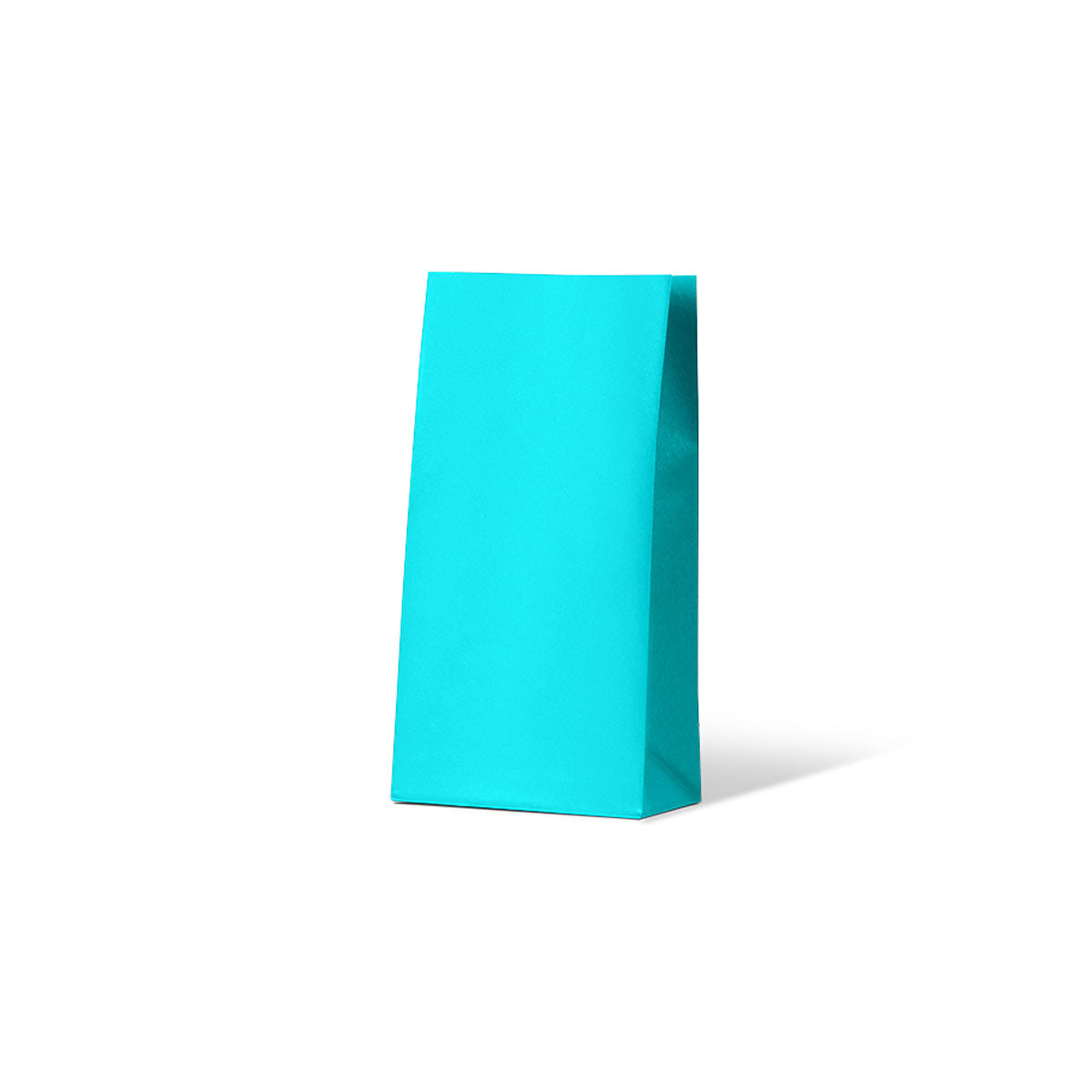 Beach Blue Medium Coloured Gift Paper Bag