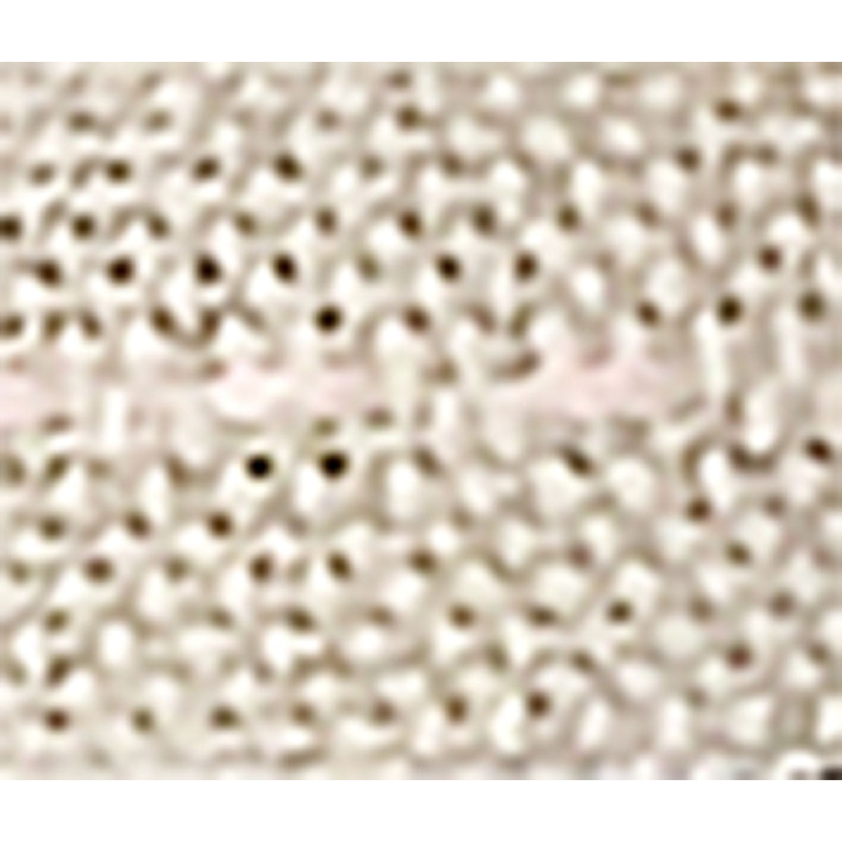 Woven Stitch 15mm X 20mtrs Natural/Pale Pink