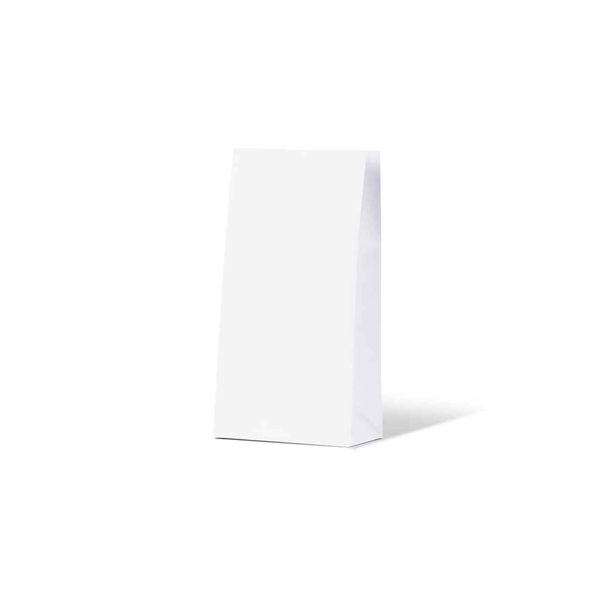 White Medium Coloured Gift Paper Bag