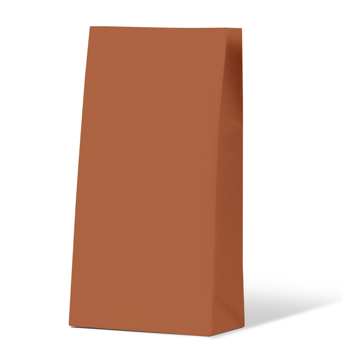 Burnt Orange Medium Coloured Gift Paper Bag