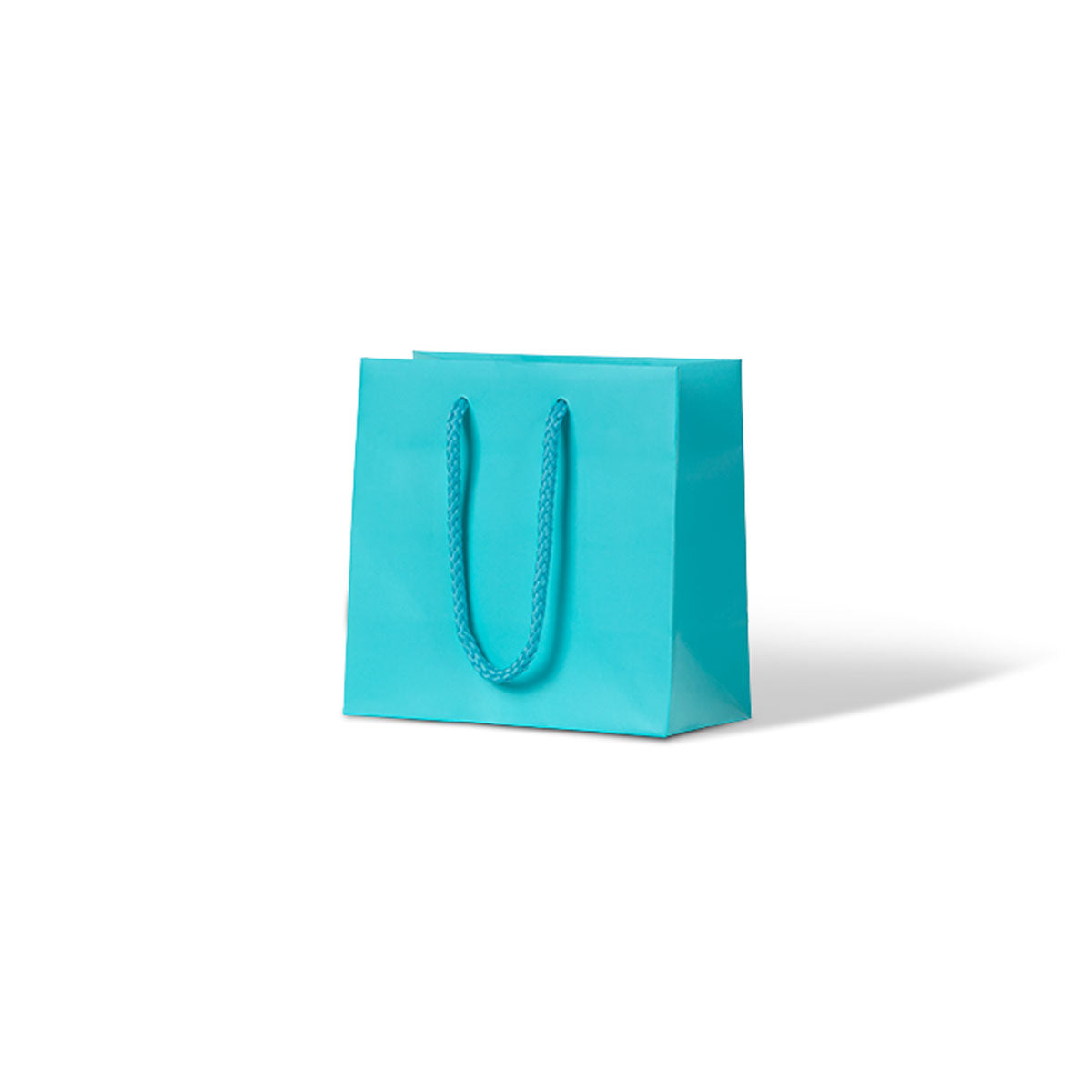 Laminated Matte Petite - Aqua