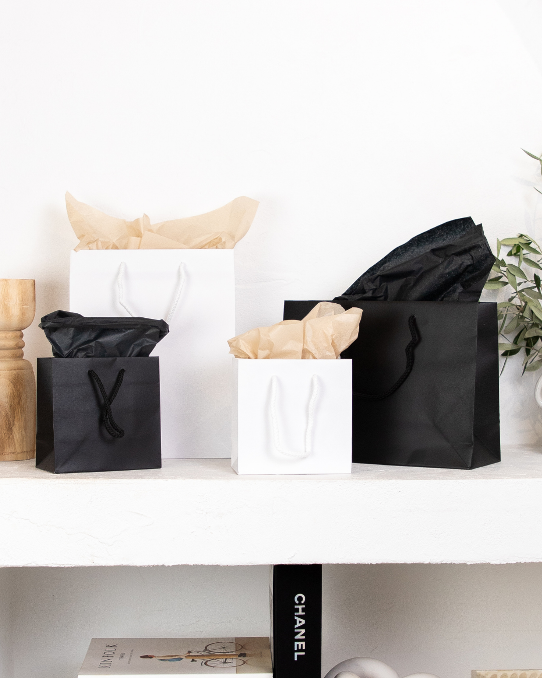 Gloss Laminated Paper Carry Bags