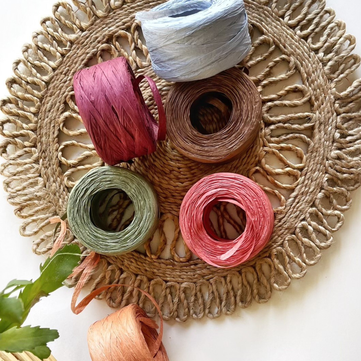 Raffia Ribbon
