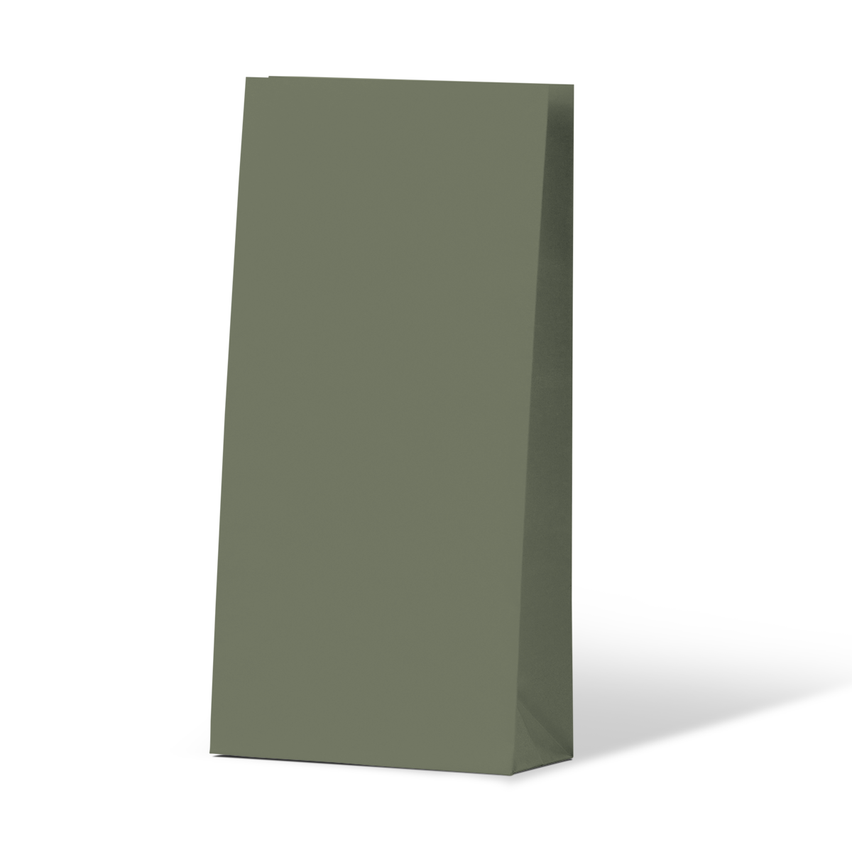 Earth Green Coloured Gift Paper Bag