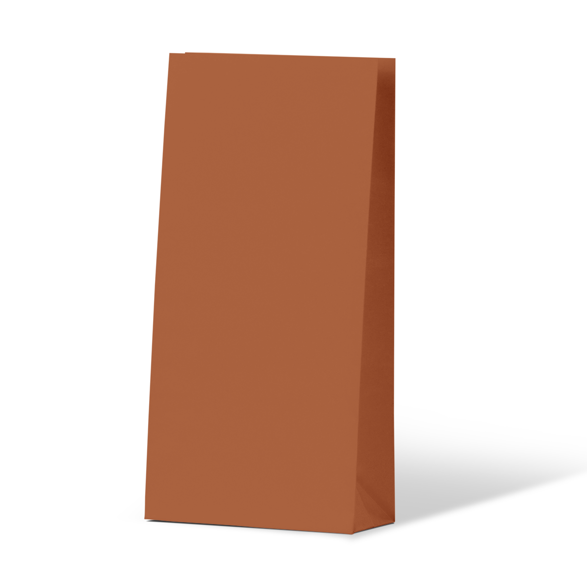 Burnt Orange Coloured Gift Paper Bag