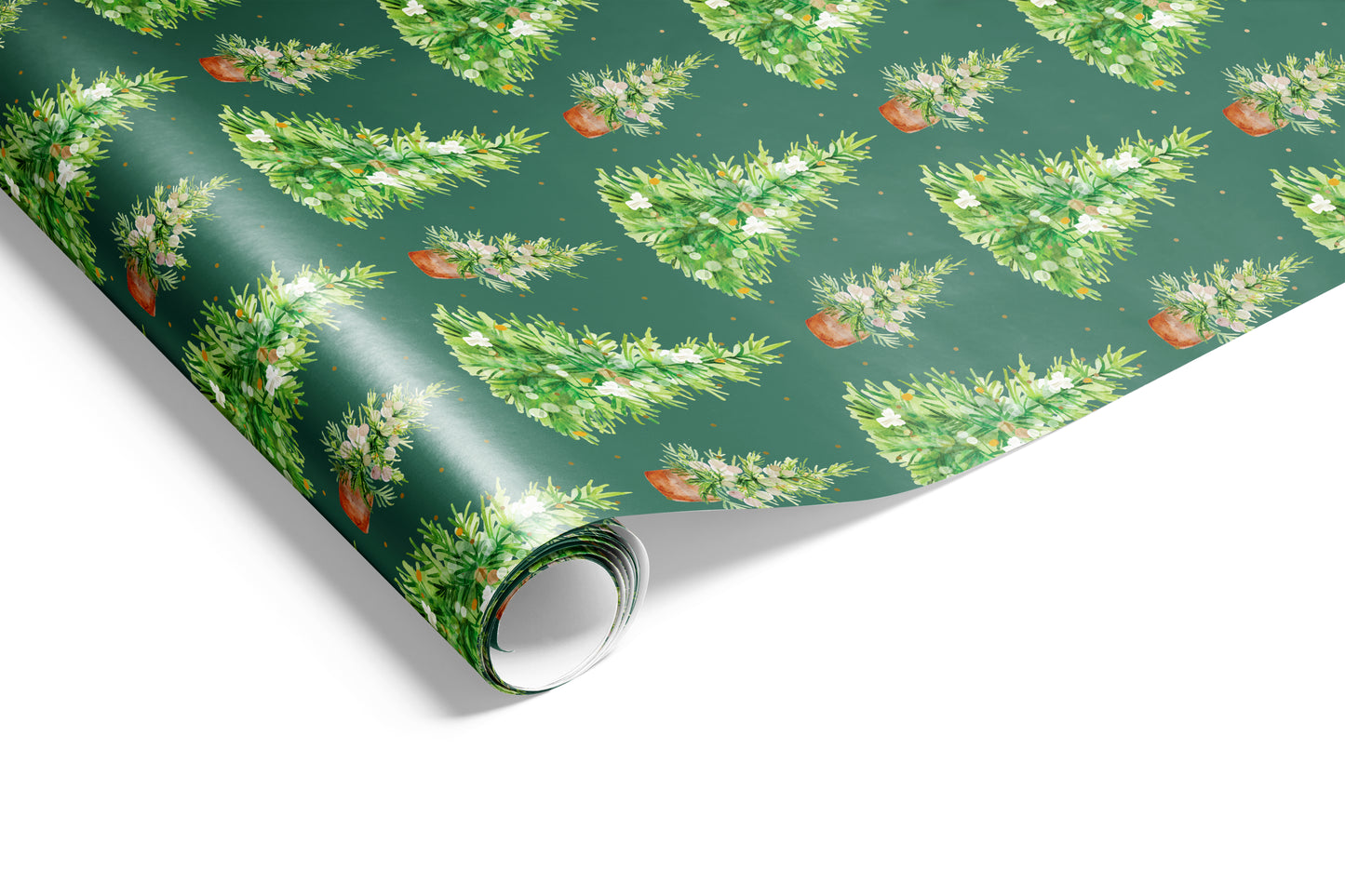 Watercolour Trees Wrap Spruce