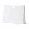 Paper Dcut White Kraft Bag - Boutique - 50/Ctn