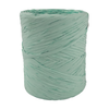 Poly Raffia 5mm X 200mtrs River Gum**