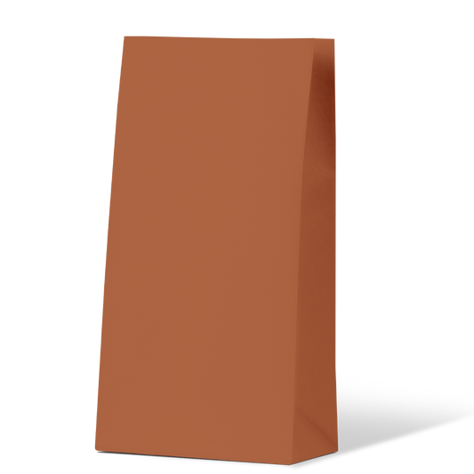 Burnt Orange Medium Coloured Gift Paper Bag