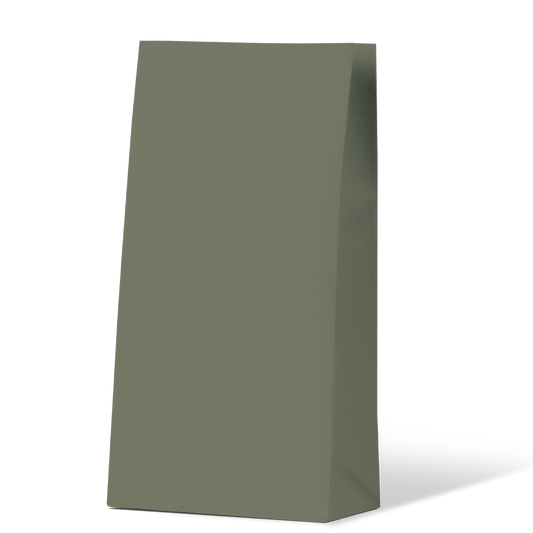 Earth Green Medium Coloured Gift Paper Bag