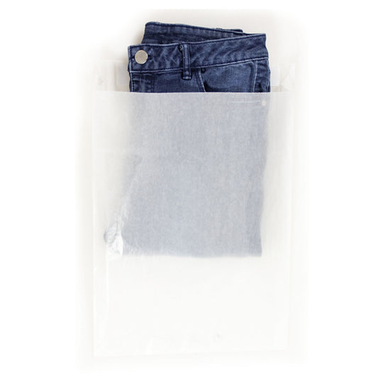 BNT Large Glassine Satchel (VBL) - 750/ctn