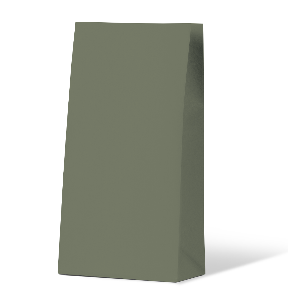 Earth Green Medium Coloured Gift Paper Bag