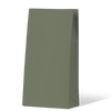Earth Green Medium Coloured Gift Paper Bag