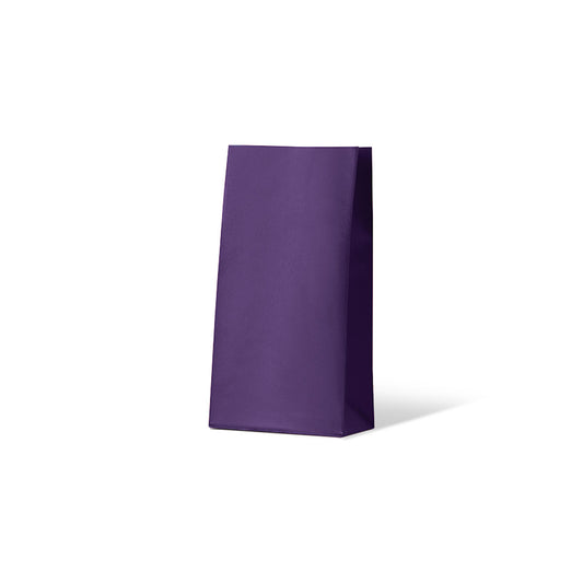 Passion Purple Medium Coloured Gift Paper Bag