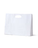 Paper Dcut White Kraft Bag - Small BTQ - 100/Ctn